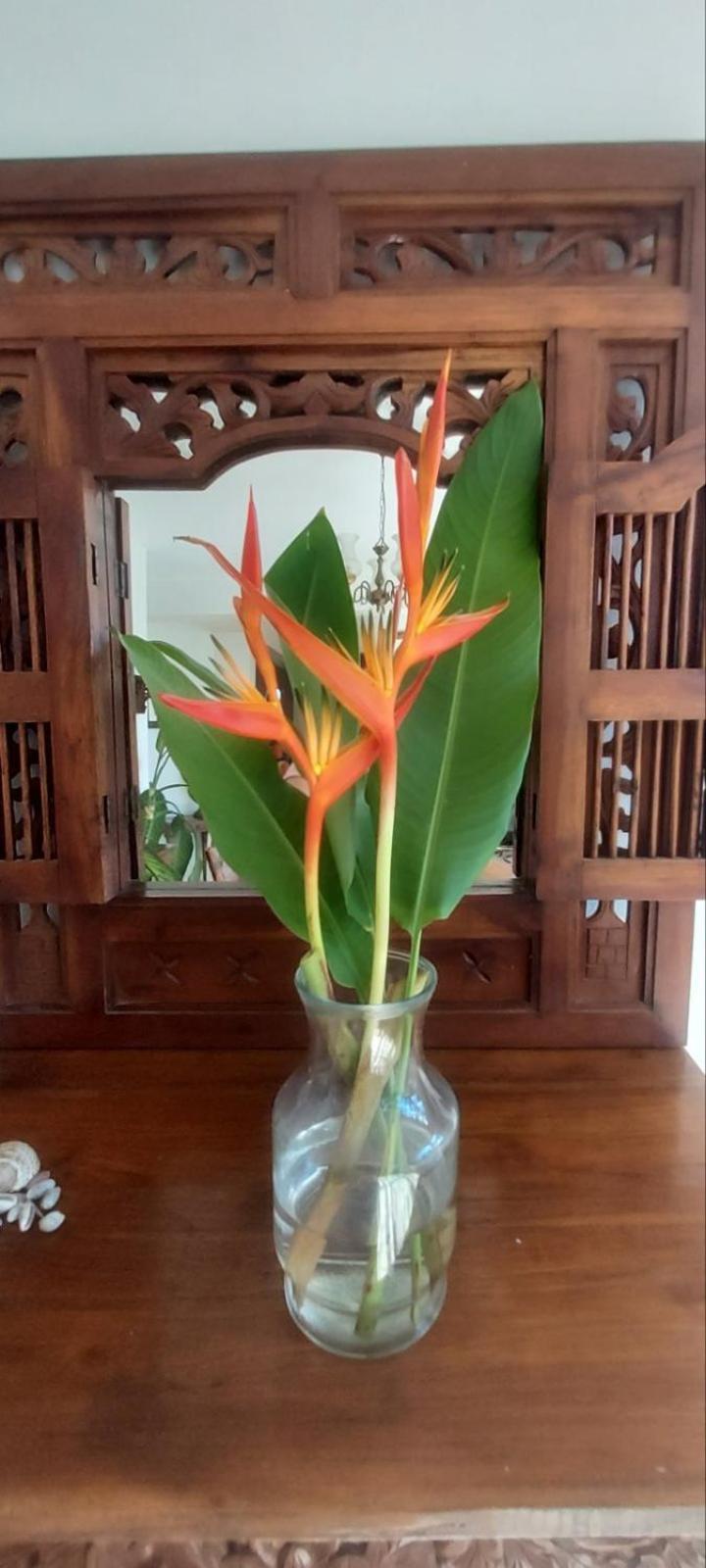 Residence71Nadi Fiji Екстер'єр фото