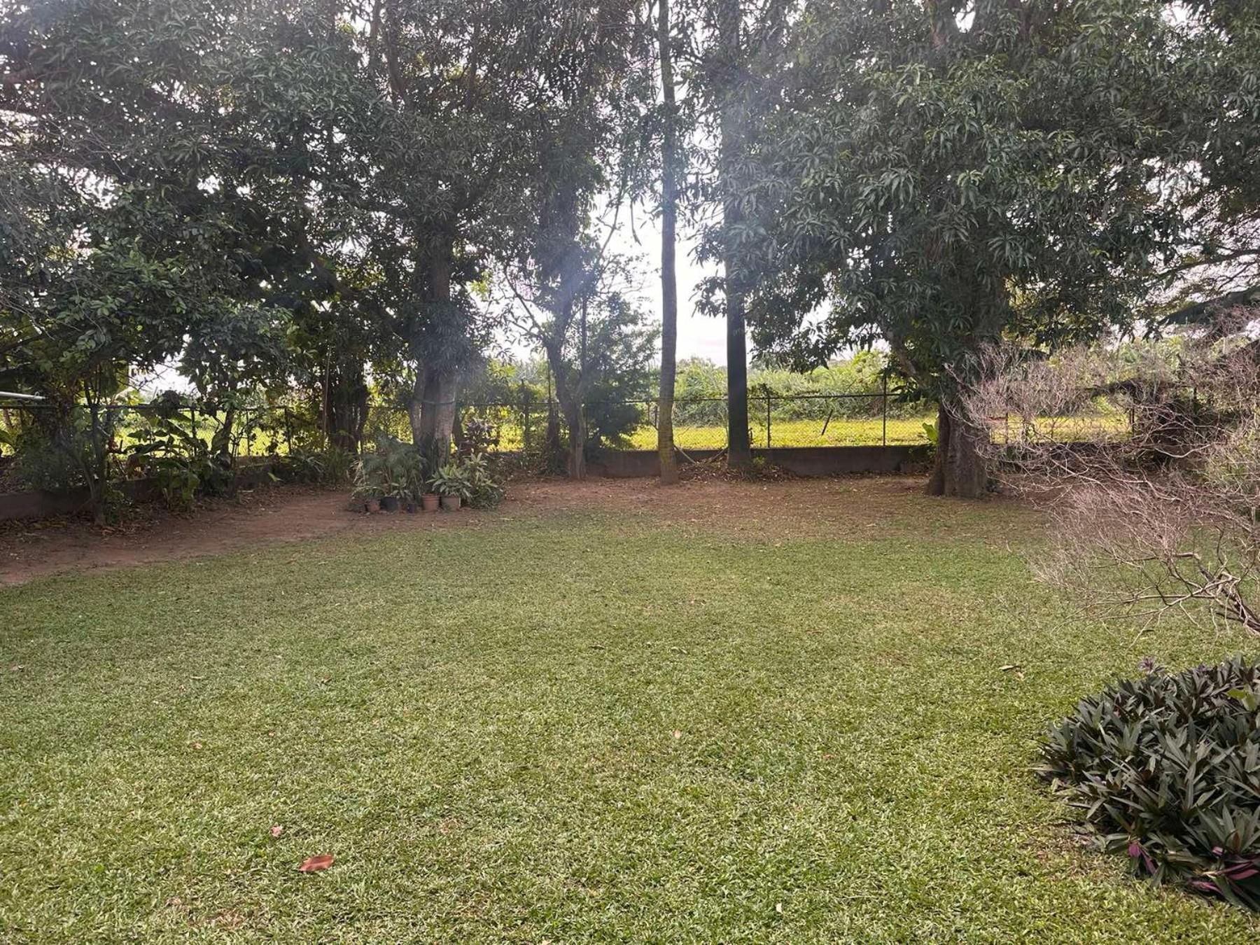 Residence71Nadi Fiji Екстер'єр фото